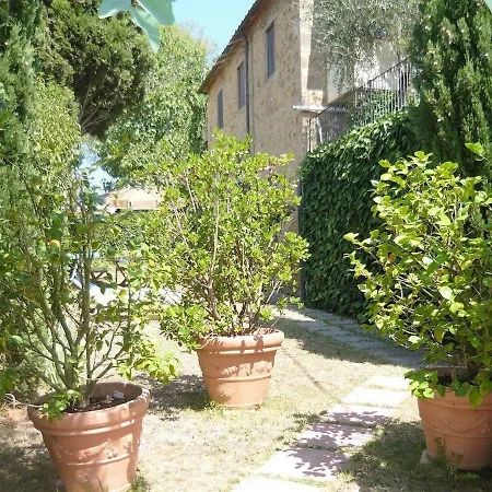 Oliveta Falco *